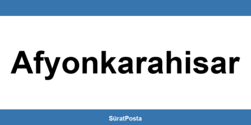 CEVA Lojistik şubeleri Afyonkarahisar iletişim bilgileri