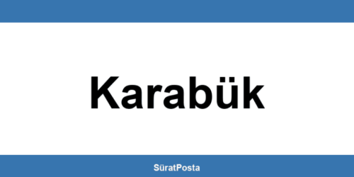 CEVA Lojistik şubeleri Karabük iletişim bilgileri