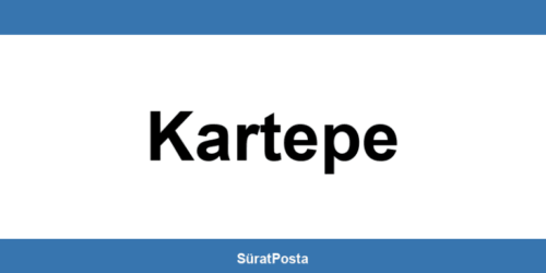 CEVA Lojistik şubeleri Kartepe iletişim bilgileri