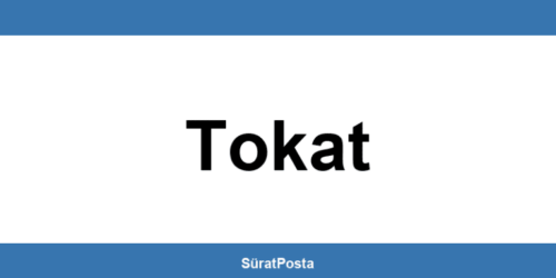 CEVA Lojistik şubeleri Tokat iletişim bilgileri