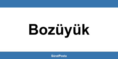 CEVA Lojistik şubeleri Bozüyük iletişim bilgileri