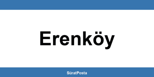 CEVA Lojistik şubeleri Erenköy iletişim bilgileri