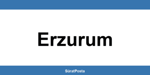 CEVA Lojistik şubeleri Erzurum iletişim bilgileri