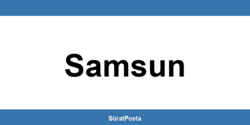 CEVA Lojistik şubeleri Samsun iletişim bilgileri