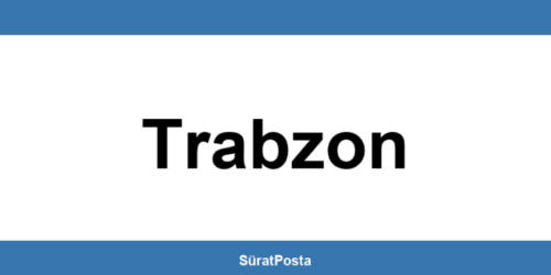 CEVA Lojistik şubeleri Trabzon iletişim bilgileri