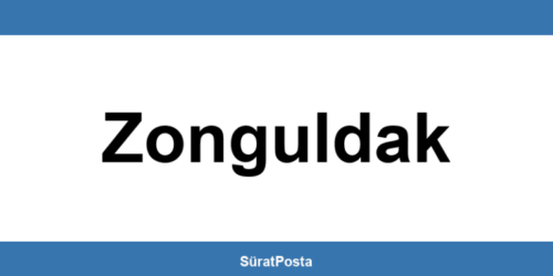 CEVA Lojistik şubeleri Zonguldak iletişim bilgileri